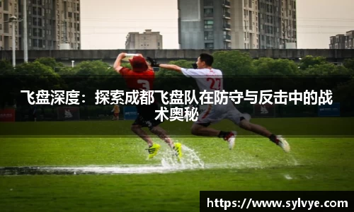飞盘深度：探索成都飞盘队在防守与反击中的战术奥秘