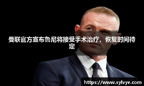 NG体育网址