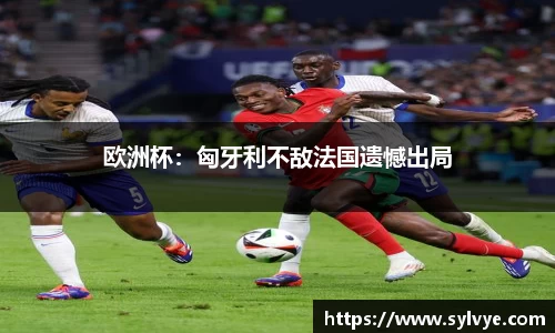 NG体育网址