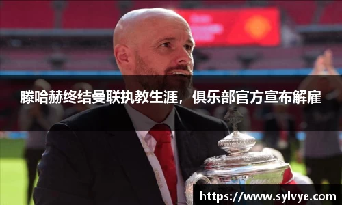 NG体育官网