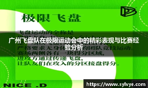 广州飞盘队在极限运动会中的精彩表现与比赛经验分析