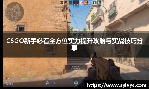 CSGO新手必看全方位实力提升攻略与实战技巧分享