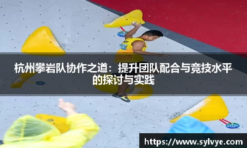杭州攀岩队协作之道：提升团队配合与竞技水平的探讨与实践