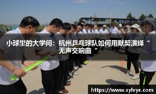 小球里的大学问：杭州乒乓球队如何用默契演绎“无声交响曲“