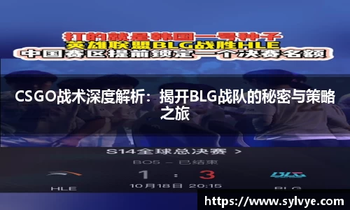 NG体育下载
