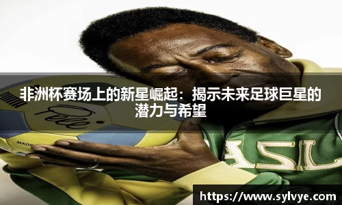 NG体育APP