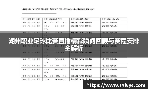 湖州职业足球比赛直播精彩瞬间回顾与赛程安排全解析
