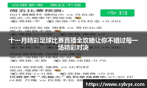 十一月精彩足球比赛直播全攻略让你不错过每一场精彩对决