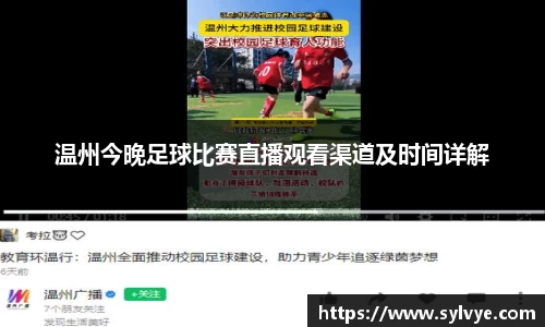 NG体育下载
