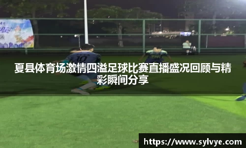 NG体育下载