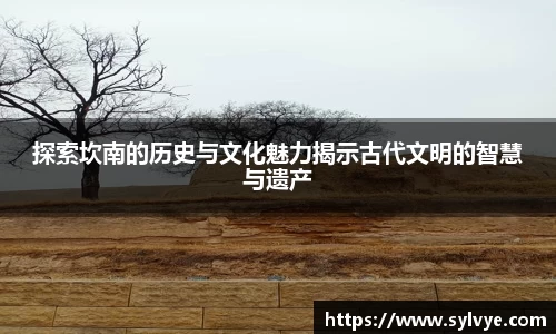 NG体育下载